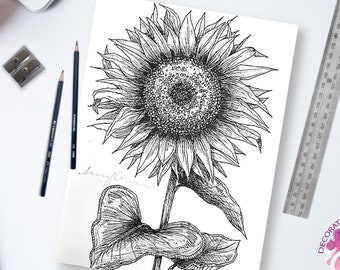 Sunflower Download, Digital Sunflower, Digital Download, Digital Print of Flowers, Digital Flowers, Sunflowers, Fall Sunflowers