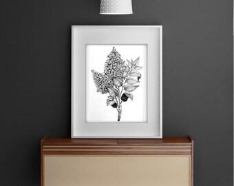 Digital Download, Digital Print, Lilacs, Lilac Download, Lilac Print, Large Lilac Print, Small Lilac Print, I Love Lilacs