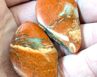 Jasper. Both halves cut and face polished.