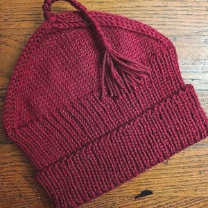 Melt the Ice protest  MADE TO ORDER resistance hat cap knitting knitted red Minnesota Norwegian