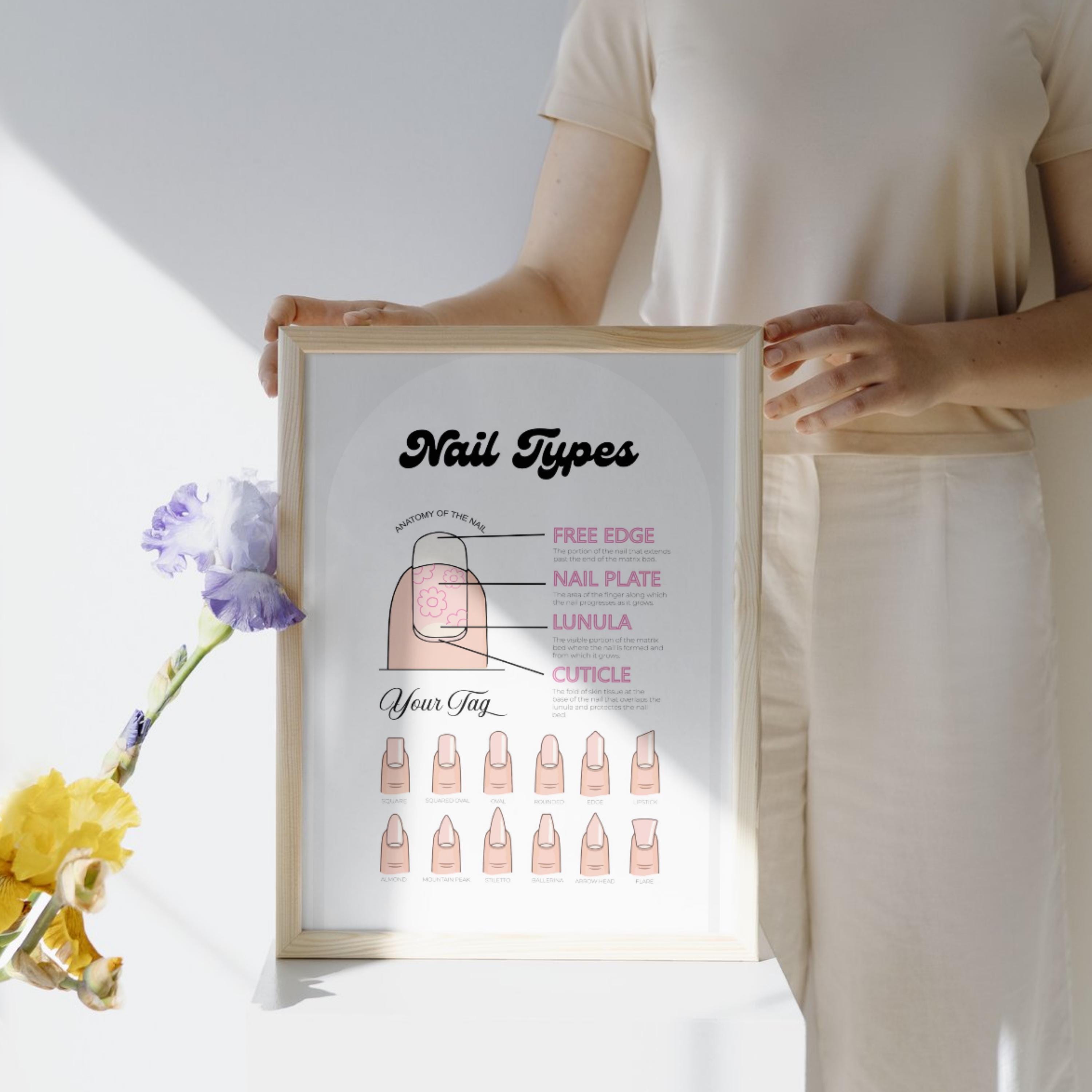 Nail Technician Salon Wall Poster | Manicure Pedicure Poster | Anatomy ...