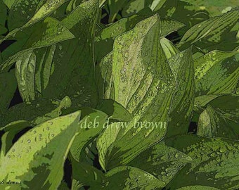 Hosta la vista I know you have heard it before