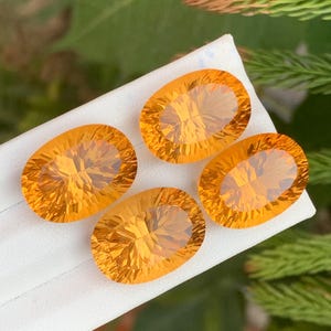 Könnte beinhalten: Vier oval geschliffene, facettierte Edelsteine in leuchtendem Orange werden auf einer weißen Oberfläche präsentiert. Die Edelsteine haben eine brillante, reflektierende Qualität und zeigen komplizierte innere Muster. Der Hintergrund besteht aus grünem Laub.