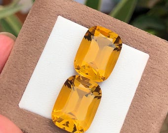pairs of citrine