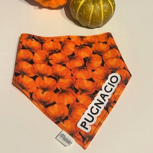 Puede incluir: Bandana triangular para perros con un estampado de calabazas naranjas sobre fondo negro, con la palabra "PUGNACIO" en blanco. Una pequeña etiqueta con la palabra "Pugner" está adjunta. Dos calabazas decorativas están en el fondo.