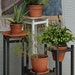 see more listings in the Plant Stands section