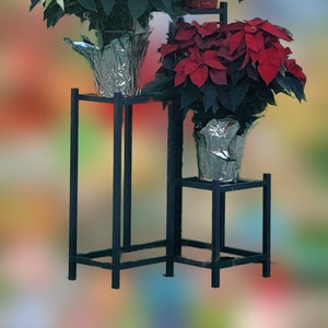May include: Three potted poinsettia plants on a black metal plant stand. The plants are in silver foil-covered pots. The poinsettias are red and white.