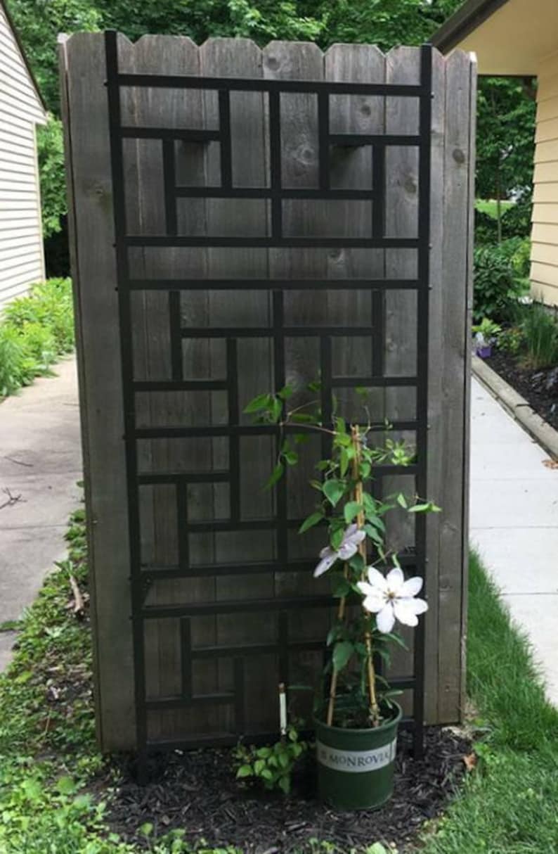 May include: A black metal trellis with a geometric design is mounted on a wooden fence. A potted plant with white flowers and green leaves is placed in front of the trellis. The pot is labeled "Monrovia".