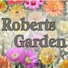 Robert