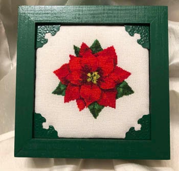Keslyn's-Beth's Poinsettia