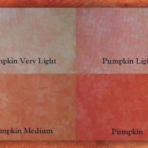 May include: Four fabric swatches showing different shades of pumpkin orange. The swatches are labeled "Pumpkin Very Light", "Pumpkin Light", "Pumpkin Medium", and "Pumpkin".