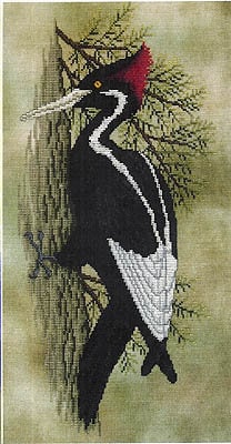 Crossed Wing Collection-Back From The Brink (Woodpecker)