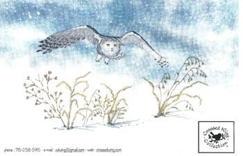 Crossed Wing Collection-Close Call