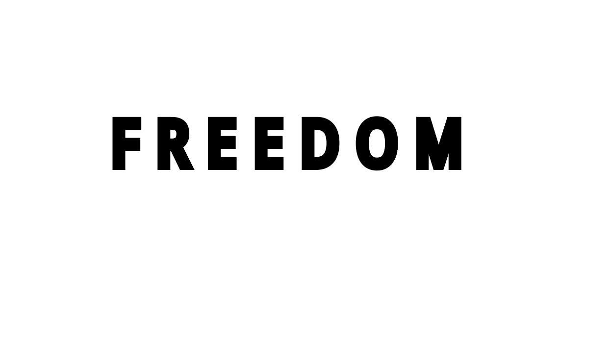 Freedom Script Font Svg Freedom SVG PNG Digital File, Patriotic Cutting File for Cricut ...