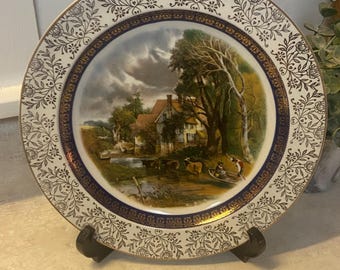 Wood and Sons English Ironstone Plate