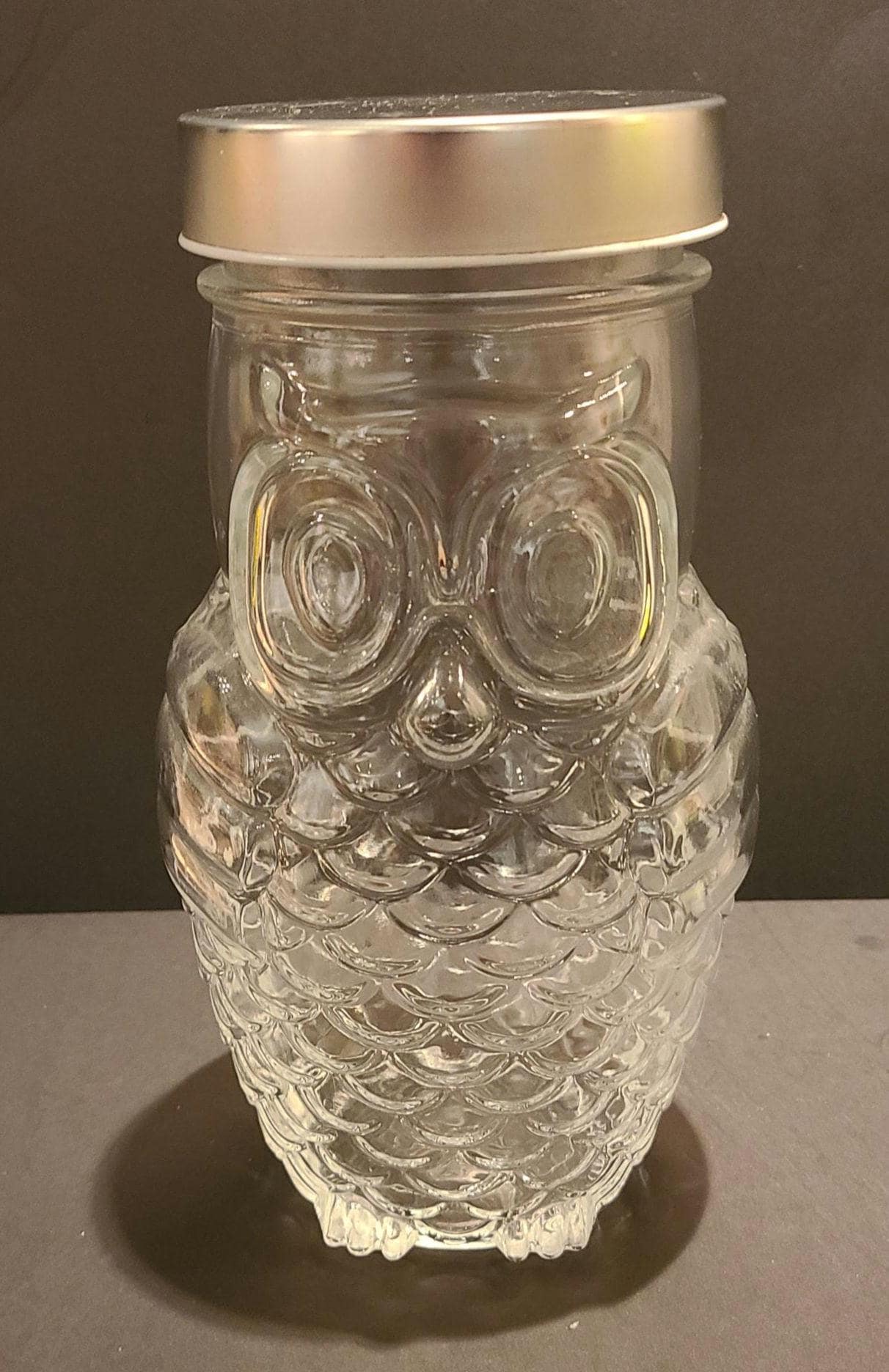 Vintage Clear Glass Owl Canister - Mid-Century "Wise Old Owl" Jar with Silver Lid
