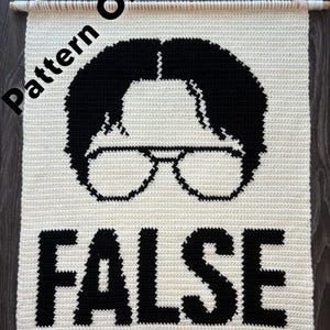 Puede incluir: Un tapiz de pared de ganchillo color crema con un gráfico negro de una persona con gafas y la palabra "FALSE" en letras negras en negrita. El tapiz está suspendido de un palillo de madera.