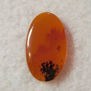 May include: A smooth, oval-shaped orange agate cabochon with a dendritic pattern in black. The agate has a translucent appearance.