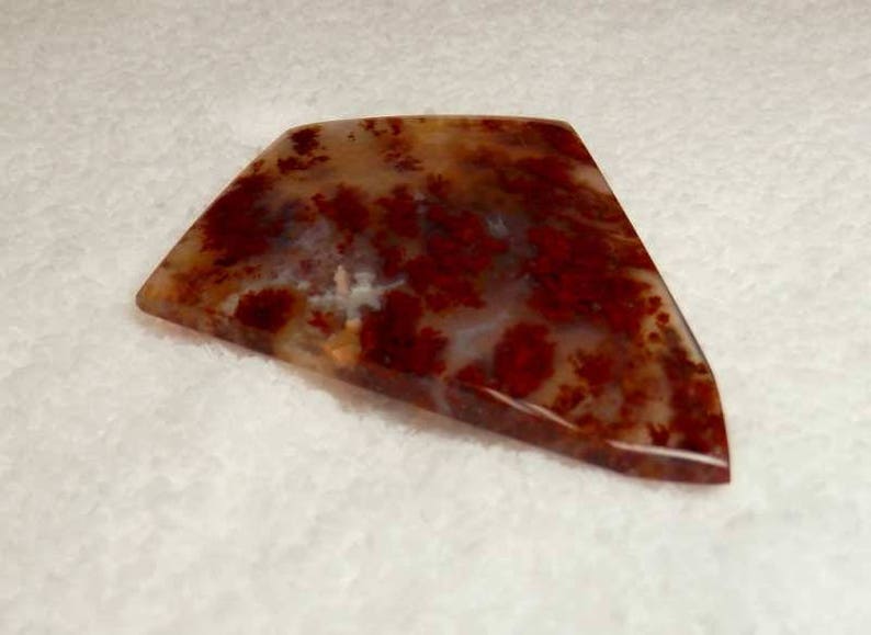 Carey Plume Agate X-Rare Oregon Plume Agate Collector Cabochon | Etsy