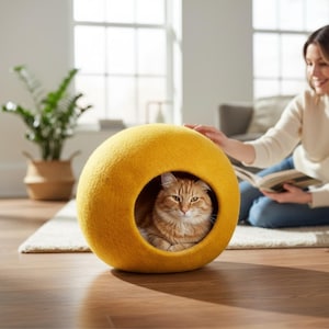 May include: A round, yellow cat bed with a circular opening. An orange tabby cat is inside the bed, looking directly at the camera. The bed is on a hardwood floor. A person is sitting nearby, reading a book.