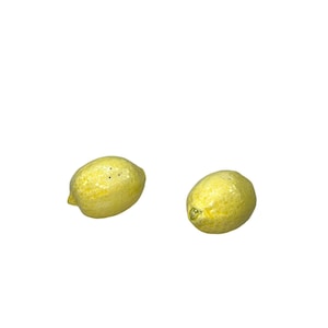 Vintage Lemon Fruit Ceramic Salt and Pepper Shakers
