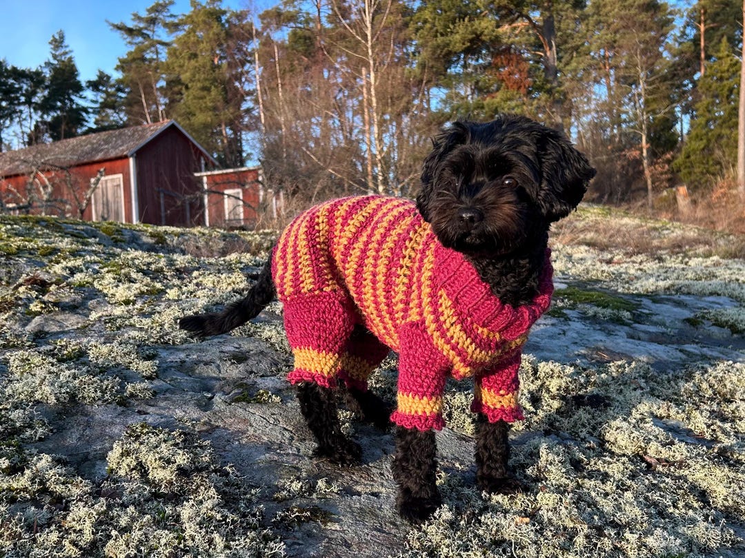 Froggers Jumpsuit - A Dog Sweater With Optional Fore and Hind Legs