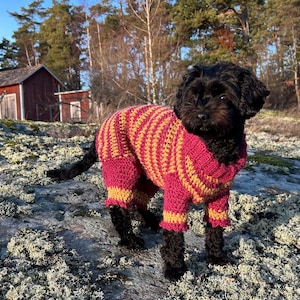 Mono Froggers: un suéter para perros con patas delanteras y traseras opcionales para perros de tamaño pequeño a mediano. Patrón de crochet en PDF.