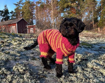 Froggers jumpsuit  - A dog sweater with optional fore and hind legs for small to medium size dogs. PDF Crochet pattern.