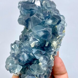 May include: A cluster of blue celestite crystals with a glassy, translucent appearance. The crystals are arranged in a random, organic pattern, creating a unique and eye-catching display.