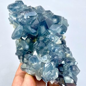 May include: A cluster of blue celestite crystals with a glassy, translucent appearance. The crystals are arranged in a random, organic pattern, creating a unique and beautiful display.