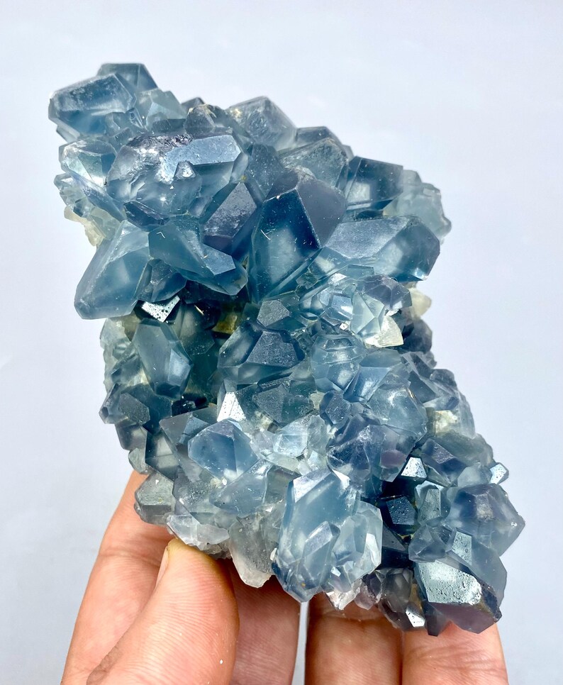 May include: A cluster of blue celestite crystals with a glassy, translucent appearance. The crystals are arranged in a random, organic pattern, creating a unique and beautiful display.