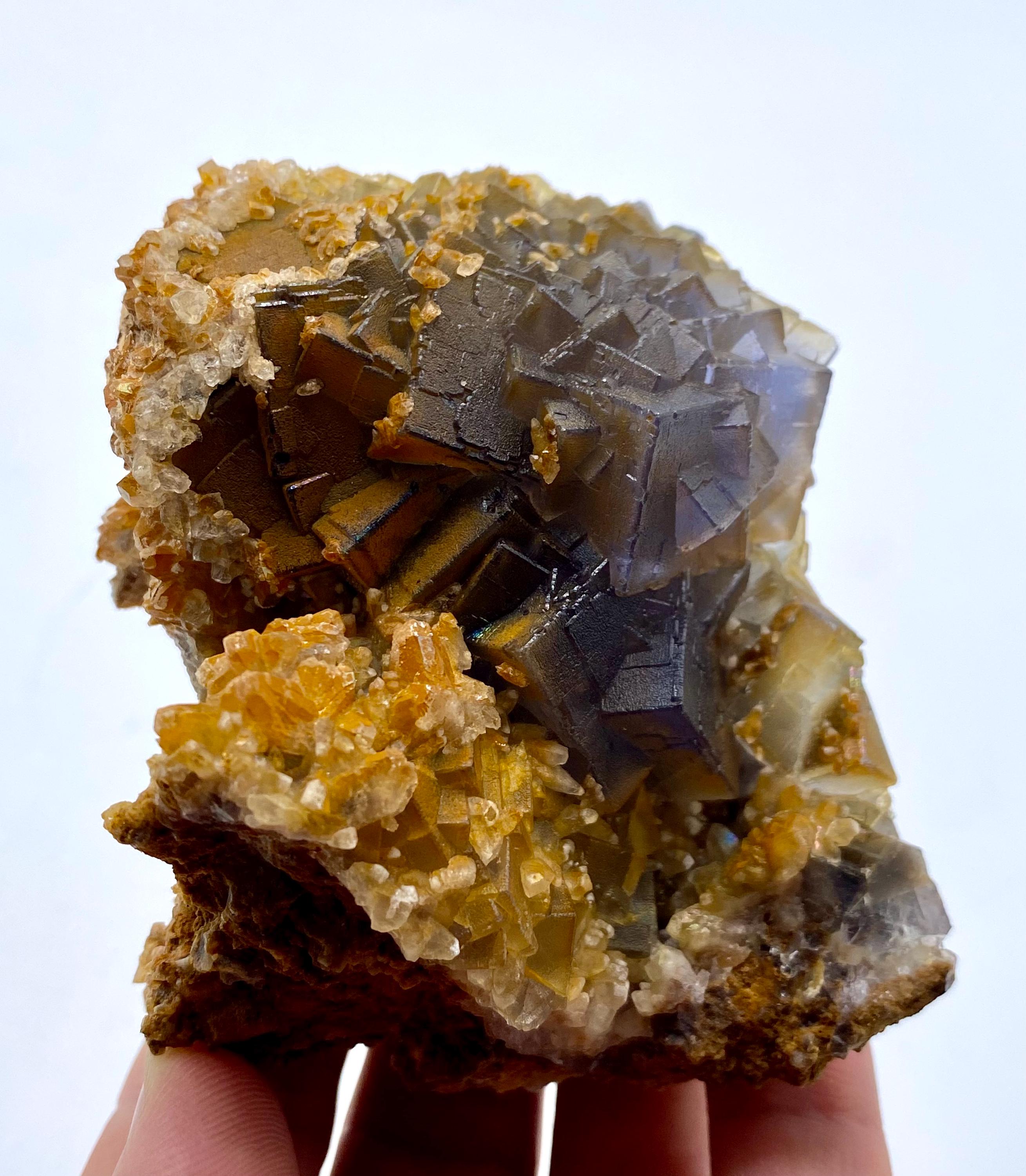 金色の方解石の上に蛍石｜金色の方解石の上に蛍