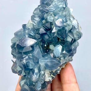 May include: A cluster of blue celestite crystals with a glassy, translucent appearance. The crystals are arranged in a random, organic pattern, creating a visually appealing and unique piece.