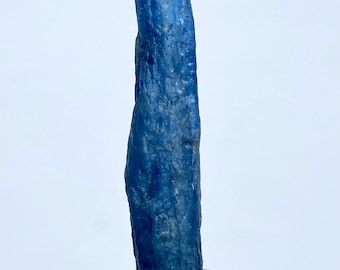 May include: A raw, elongated blue kyanite crystal. The crystal has a deep blue color with a textured surface and a lighter, silvery base. The kyanite is held by a person's fingers against a white background.