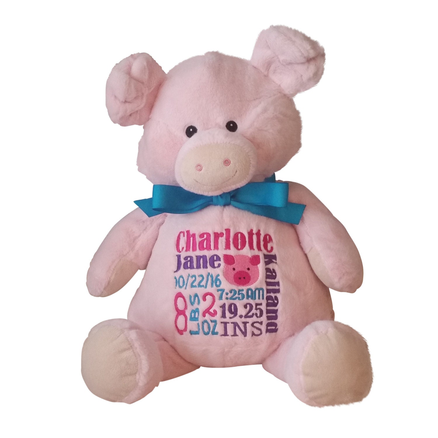 Personalized Pig Stuffed Animal Custom Embroidery Pink Etsy