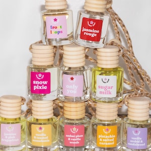 Scented Car Freshener Hanging Car Freshener Diffusers New Car Gift Hanging Car Diffuser Car Accessories Long Lasting Car Freshies Scents