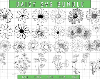 Daisy SVG Bundle, Flower Clipart (Digital Files)