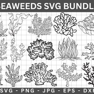 Seaweed Svg,Coral SVG Bundle,Sea Svg, Files for Cricut and Silhouette Svg,Seaweed png, Sea Plant svg,Coral Clipart,Plants Svg,Ocean Png