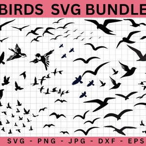 Pode incluir: Um pacote de download digital de 50 arquivos de corte SVG de silhueta de pássaro preto. Os pássaros estão em várias poses e tamanhos, perfeitos para projetos de artesanato.