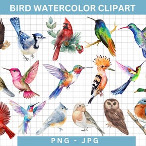 Watercolor Spring Birds Clipart,Quirky Bird Illustrations Whimsical Birds,cute bird png,Birds On Branch Clipart,Blossom Bird Graphics