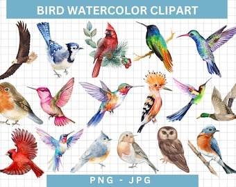 Watercolor Birds Clipart, Spring Bird Illustrations (PNG JPG, Commercial Use)