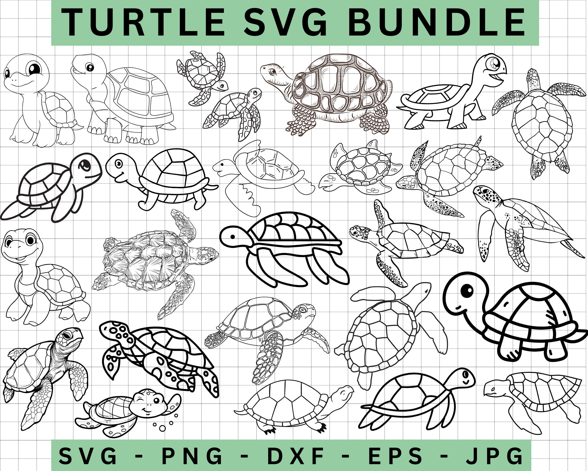 TURTLE Svg,sea Turtle Svg,sea Turtles DESIGNS Clipart,turtle Clipart ...