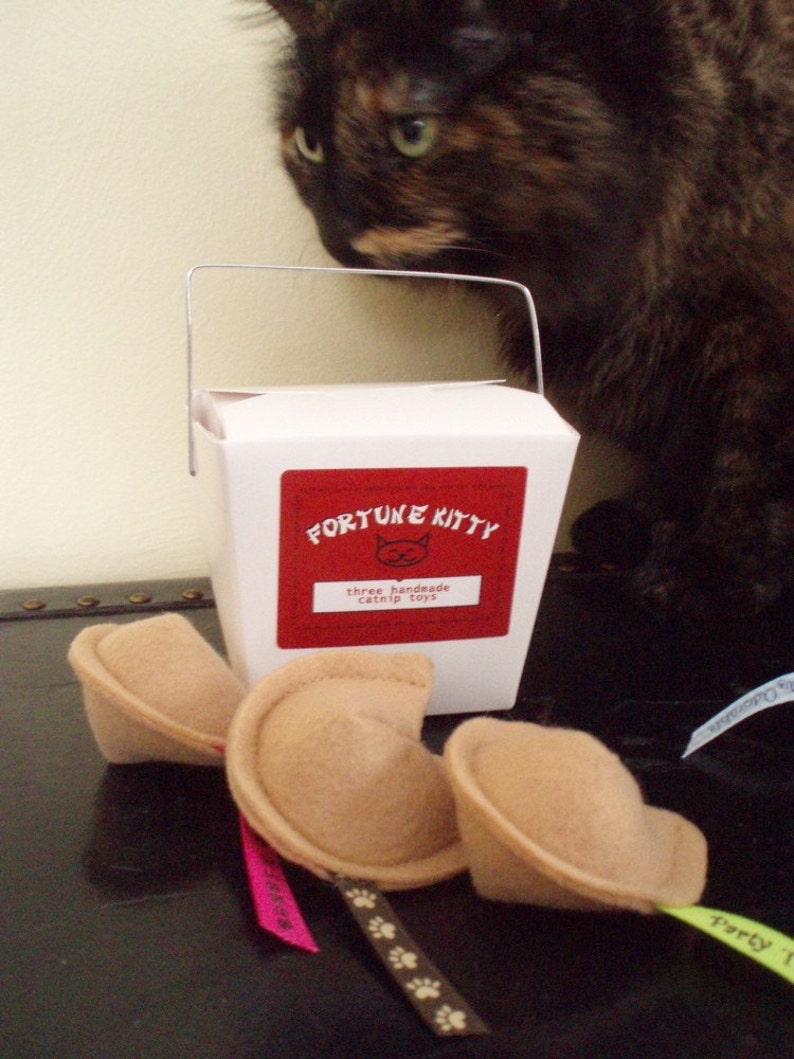 May include: A white cardboard box with a handle, labeled "Fortune Kitty" and "three handmade catnip toys". The box is sitting on a black surface with three brown catnip toys shaped like fortune cookies.
