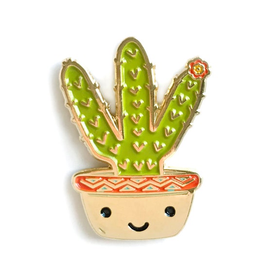 Pin on cactus