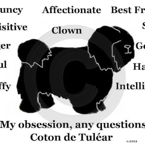 Coton de Tulear Perro Pintado a Mano Adorno de Navidad - Adorno de Navidad Personalizado - Se puede personalizar a partir de la foto (no digital) imagen 4
