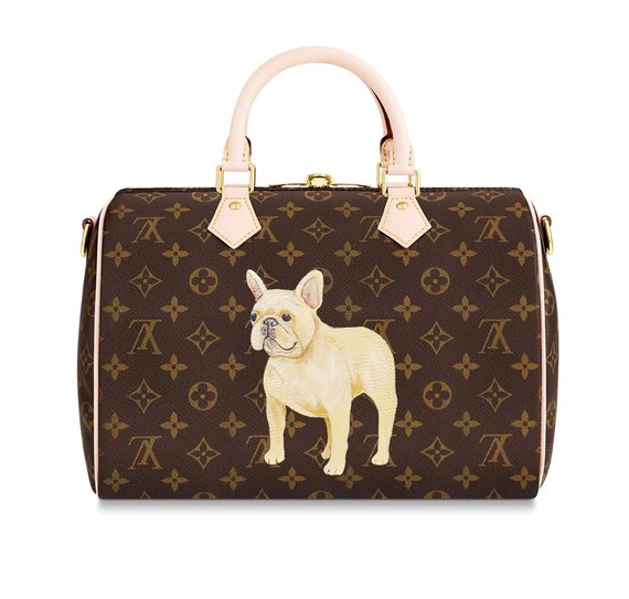 Reeeallly?The Louis Vuitton Inspired Doggie Bag
