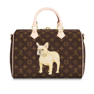 Limited Edition Louis Vuitton Monogram Canvas Mini Bag – Repurposed Lux