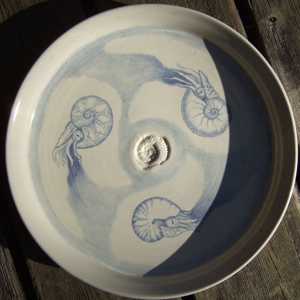 Original Drawing on Porcelain Plate - Three Cephalopods