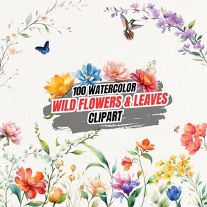 Clipart de flores silvestres en acuarela, clipart de flores silvestres botánicas, arreglos florales, clipart rústico de acuarela, flores elegantes, hojas