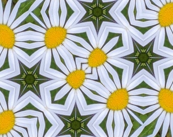 Magical Daisy Nature Kaleidoscope Archival Fine Art Print